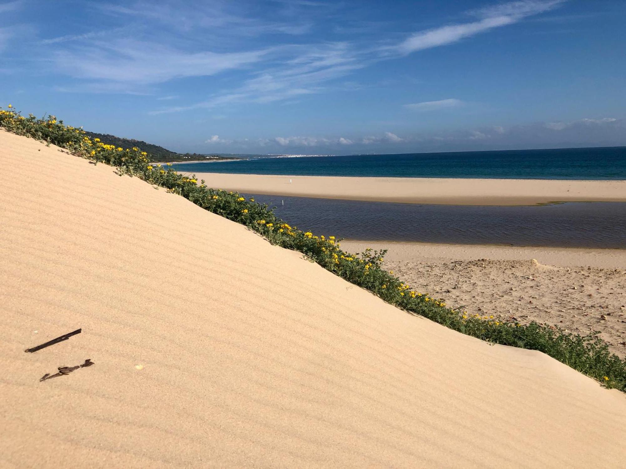 Beautiful Coastal Retreat In Punta Paloma Tarifaアパートメント エクステリア 写真